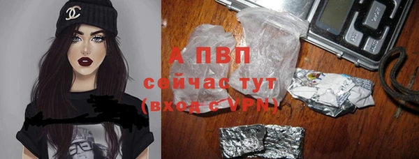 PSILOCYBIN Белоозёрский