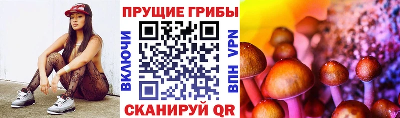 Галлюциногенные грибы прущие грибы  купить   Красноармейск 